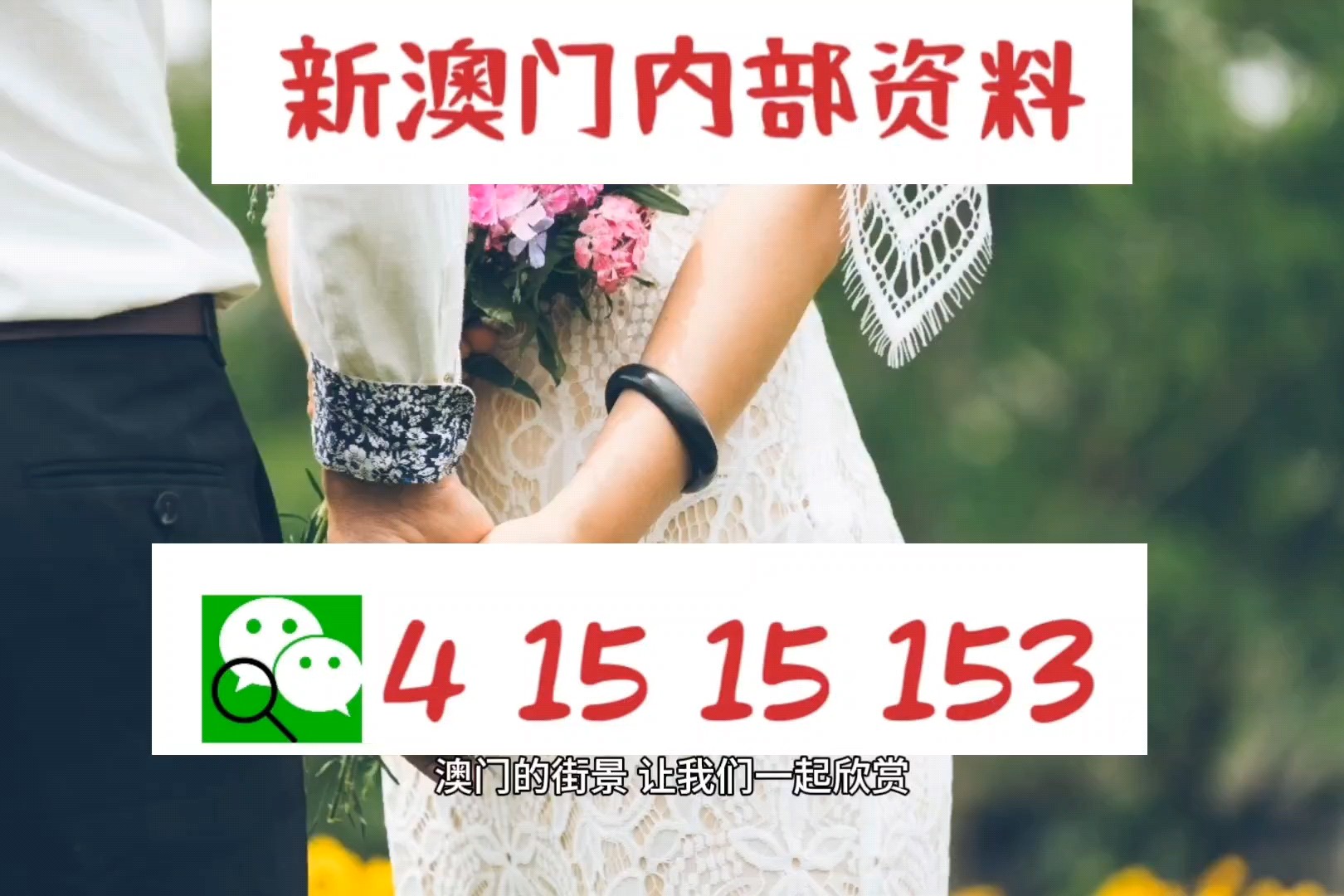 新澳精準(zhǔn)資料免費(fèi)提供網(wǎng)086期 06-22-28-38-40-49A：17,新澳精準(zhǔn)資料免費(fèi)提供網(wǎng)，探索數(shù)字世界的寶藏（第086期分析）